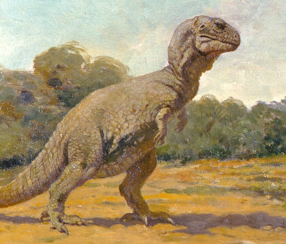 AMNHTyrannosaurus11000x853 Dinosaur art, Prehistoric wildlife